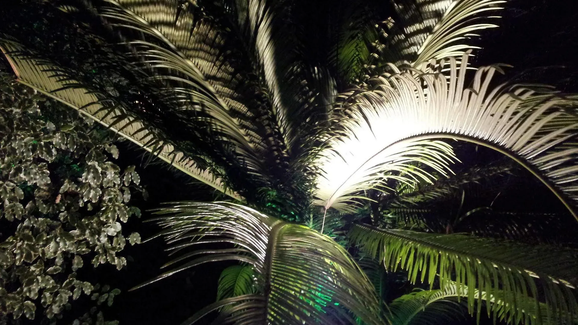 ***  Ideal Sejour Cannes - Stylish Boutique Hotel With Quiet Garden 法国